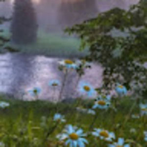 Meet your Posher, Mars